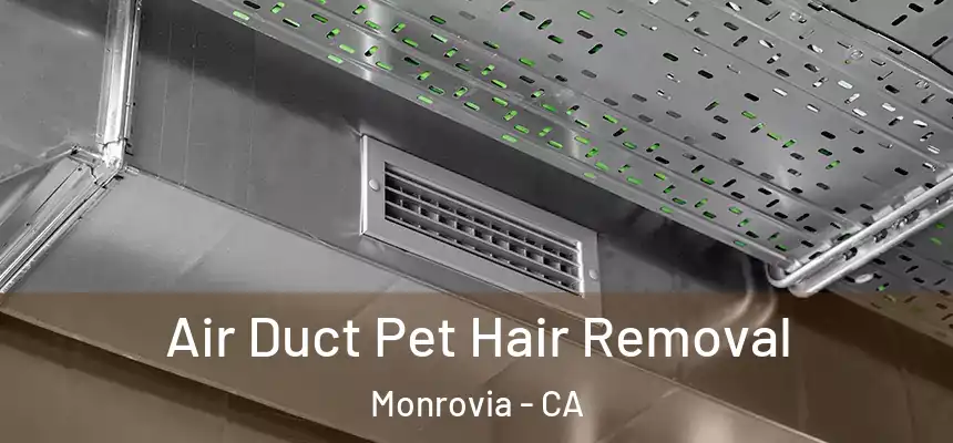  Air Duct Pet Hair Removal Monrovia - CA