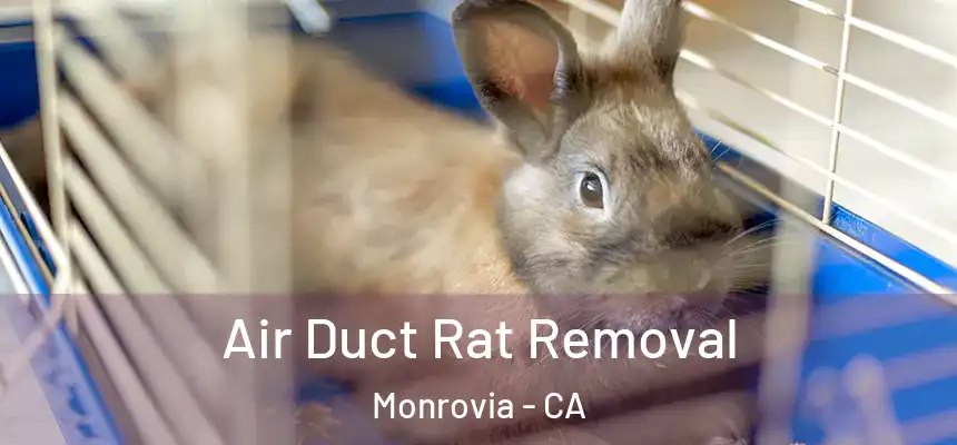  Air Duct Rat Removal Monrovia - CA