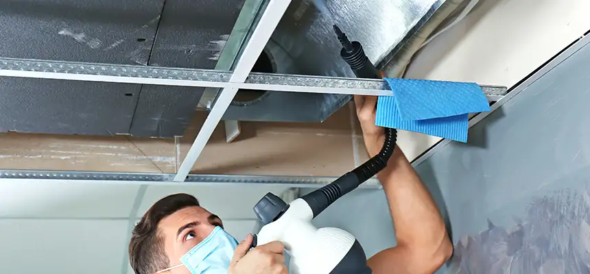 Our Air Duct Rodent Removal Services in Monrovia, CA