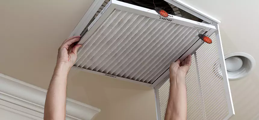 Our Insect Removal from Air Ducts Services in Monrovia, CA