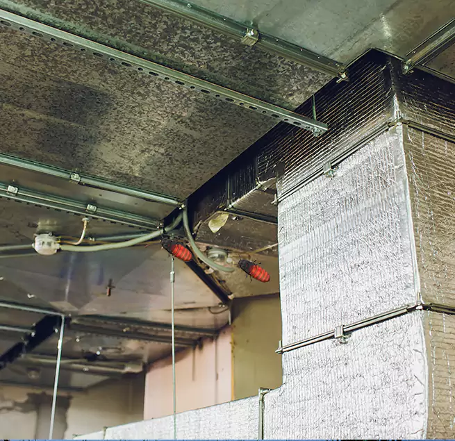 Why Homeowners & Businesses Trust Us in Monrovia, CA?