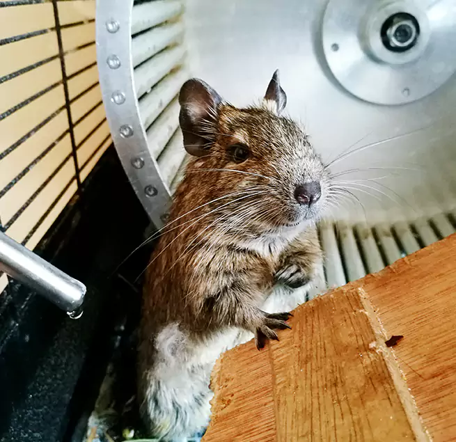 Why Homeowners & Businesses Trust Us Monrovia, CA?