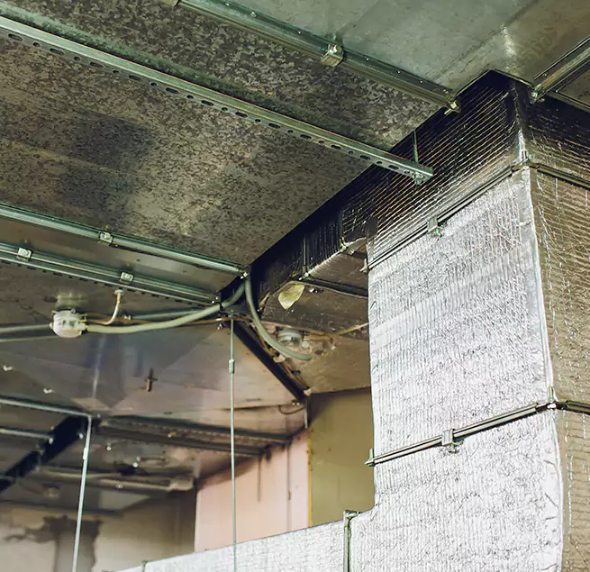 Why Homeowners & Businesses Trust Us in Monrovia, CA?